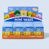 Surprise box food | Fleux | 7