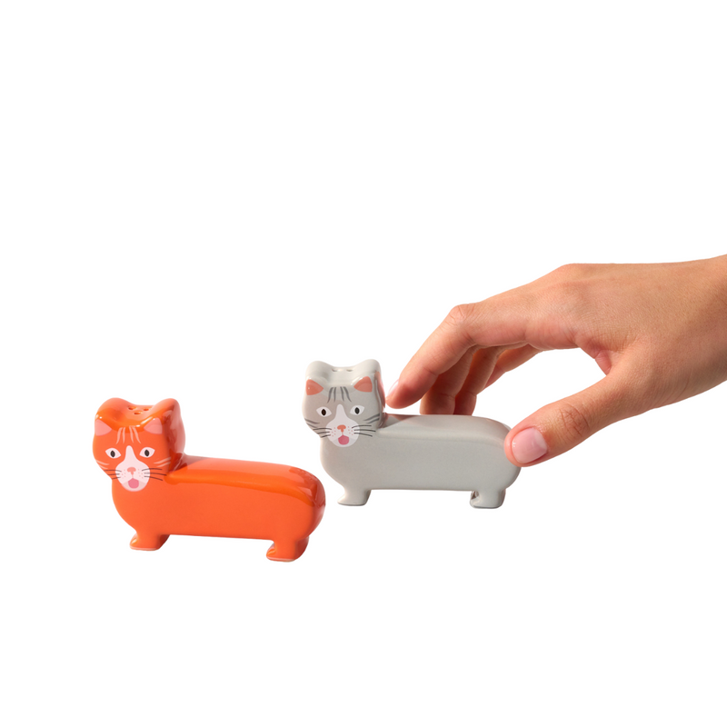 Salière et poivrière - Chat
