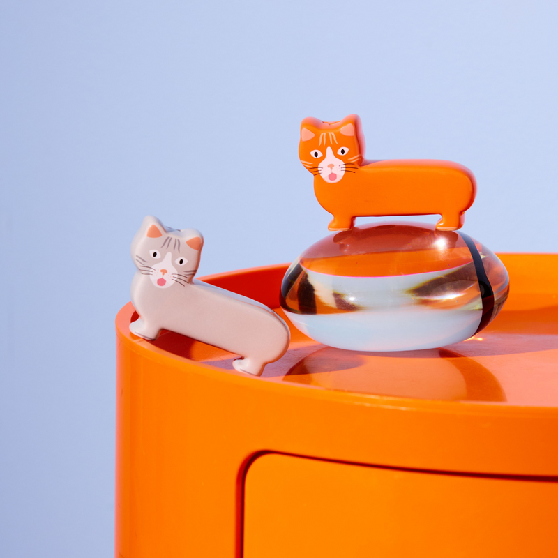 Salière et poivrière - Chat