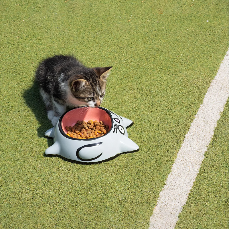 Gamelle Jean Jullien - Chat