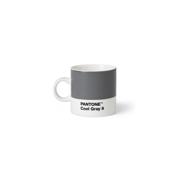 Tasse Pantone - Cool Grey