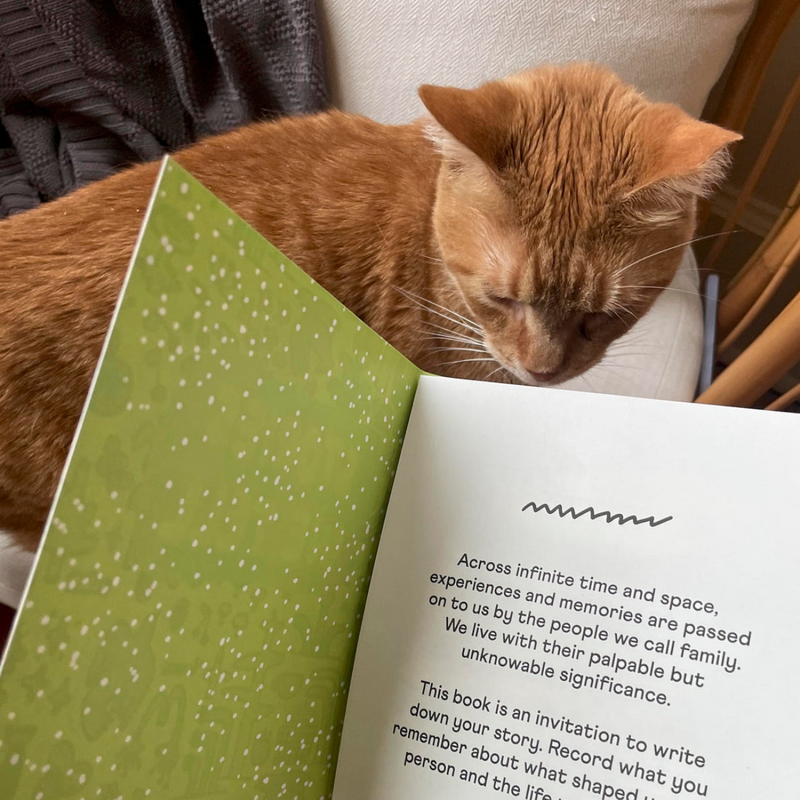 Journal Stories We Tell