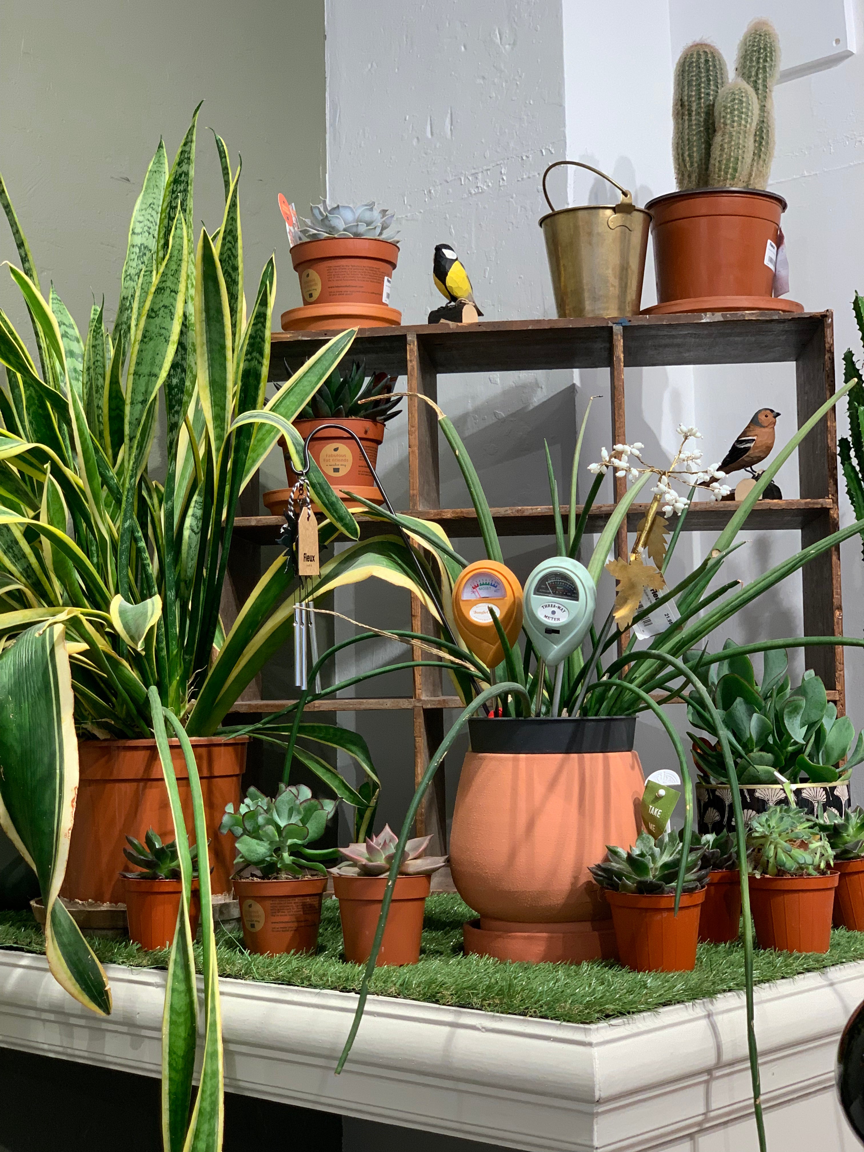 Image Slider | Fleux