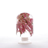 Verre à Fleurs Séchées Pink Delphinium L | Fleux | 7