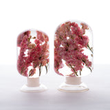 Verre à Fleurs Séchées Pink Delphinium L | Fleux | 8