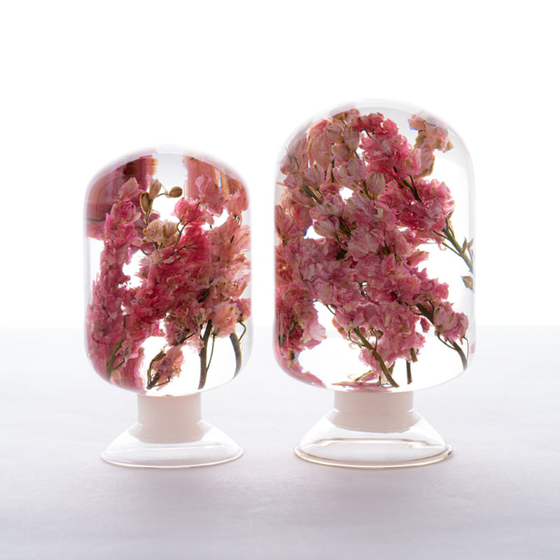 Verre à Fleurs Séchées Pink Delphinium L