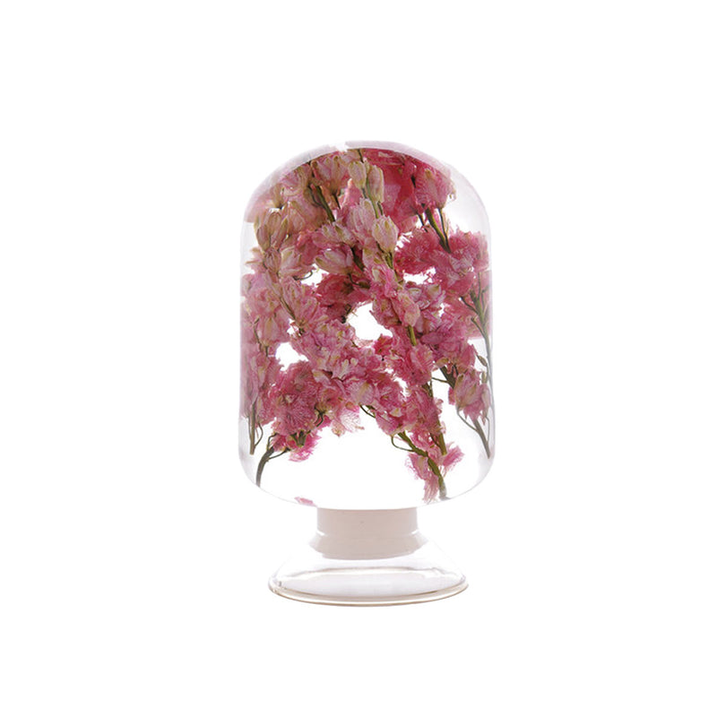 Verre à Fleurs Séchées Pink Delphinium L