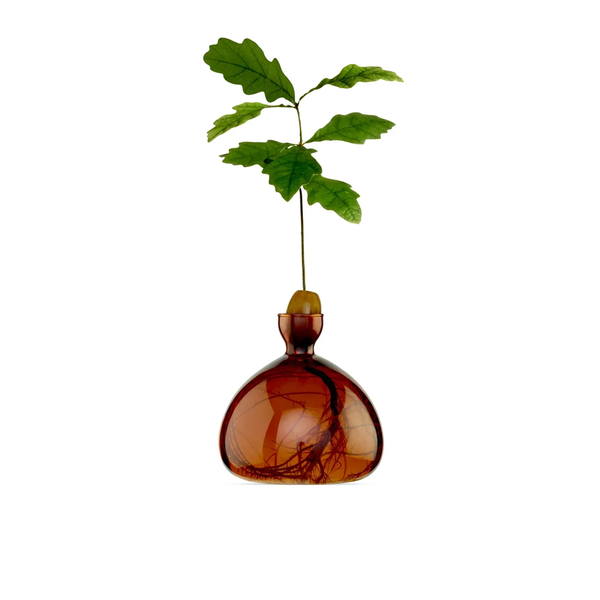 Vase en verre pour gland