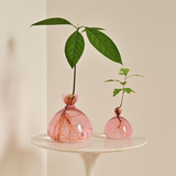 Vase en verre pour gland | Fleux | 7