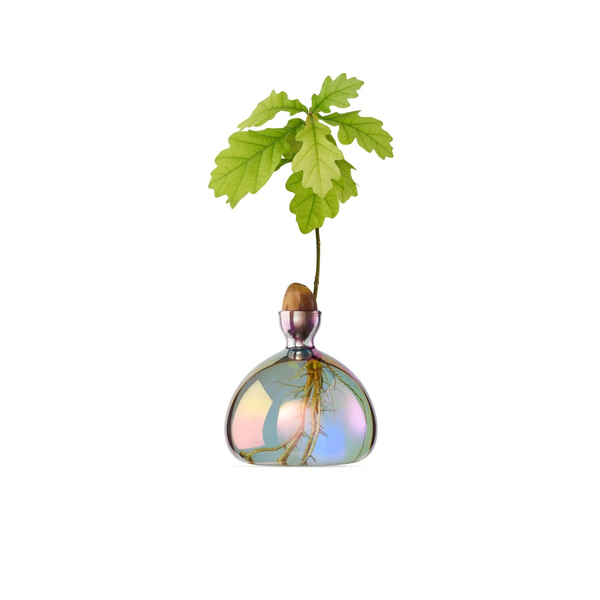 Cosmic Acorn Glass Vase