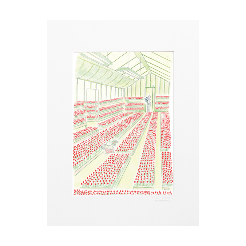Sempe Tulip Poster