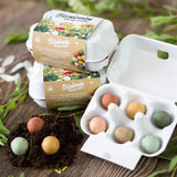 Egg Box 6 Seed Bombs | Fleux | 3