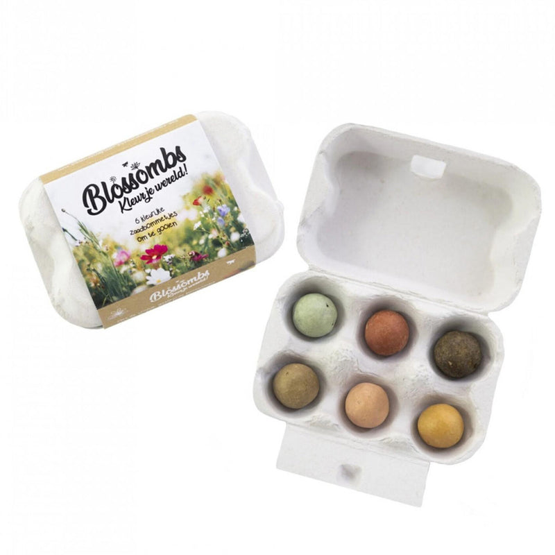 Egg Box 6 Seed Bombs