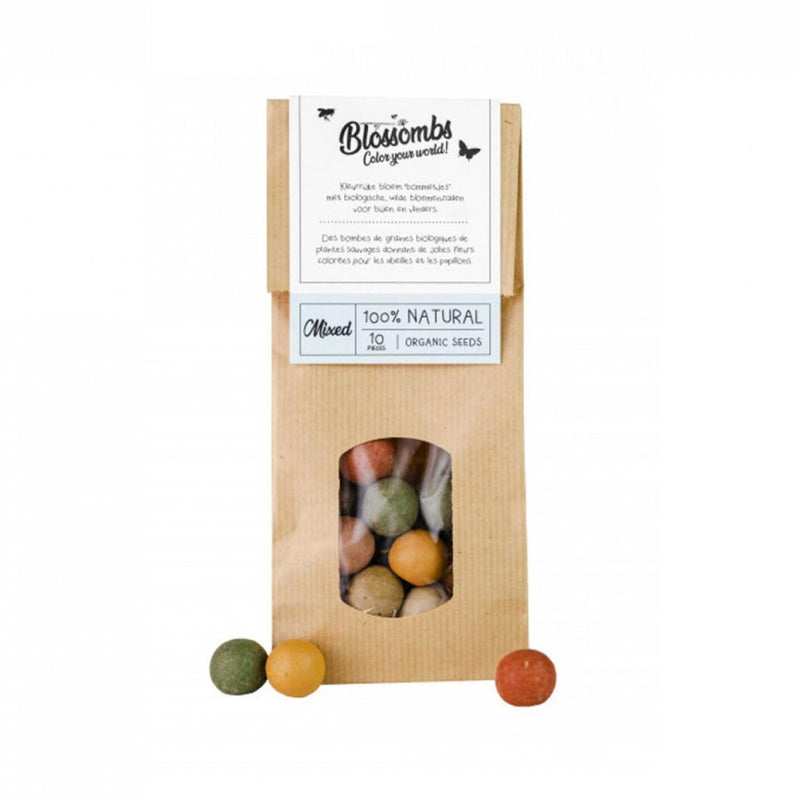 Kraft Bag 10 Seed Bombs
