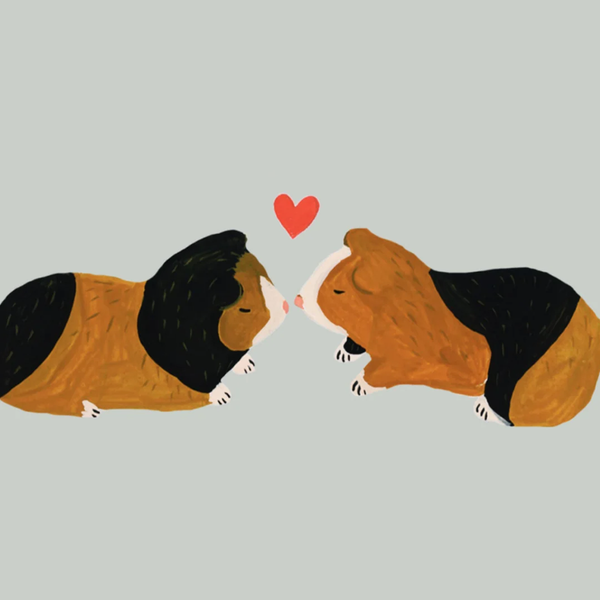 Guinea Pig Greeting Card
