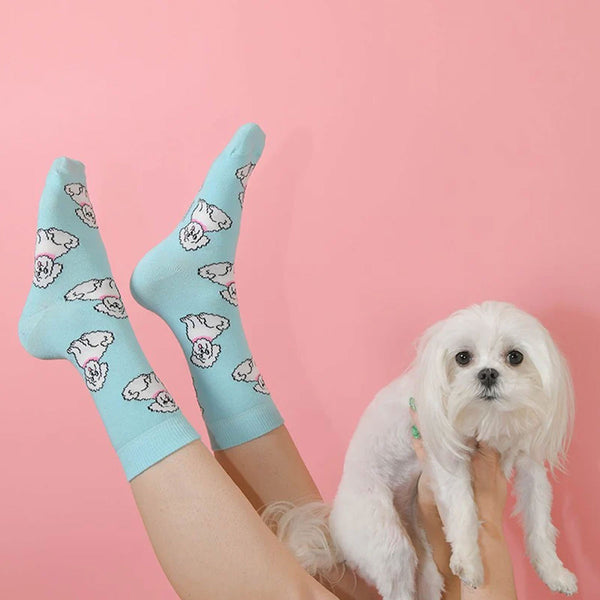 Chaussettes Bichon - Bleu Opaque