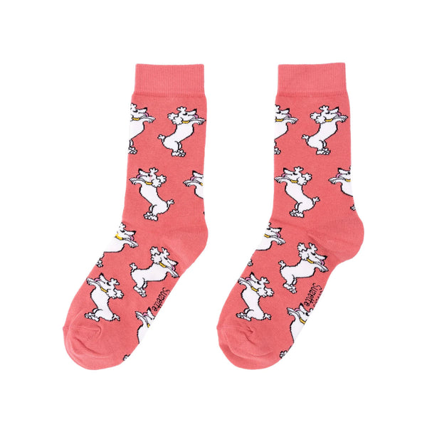 Chaussettes Caniches Opaque - Rose Fuschia