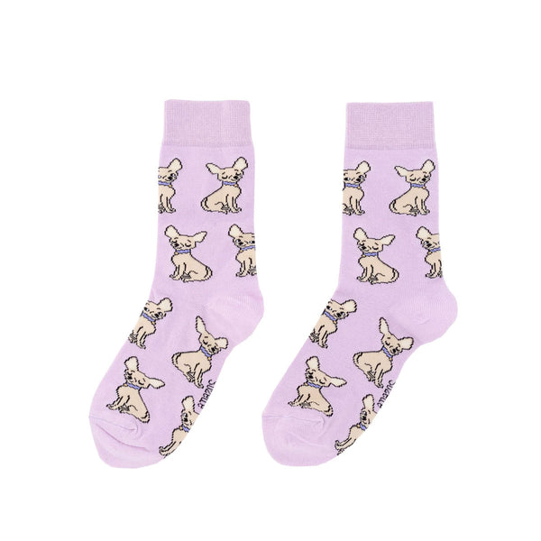 Chaussettes Chihuahua Opaque - Lilas