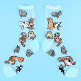 Transparent Socks - Meow | Fleux | 7