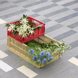 Caisse Crate M - Golden Yellow