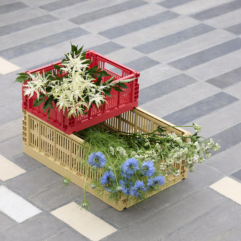 Crate M Case - Golden Yellow