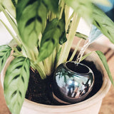 Olla natural water diffuser | Fleux | 12