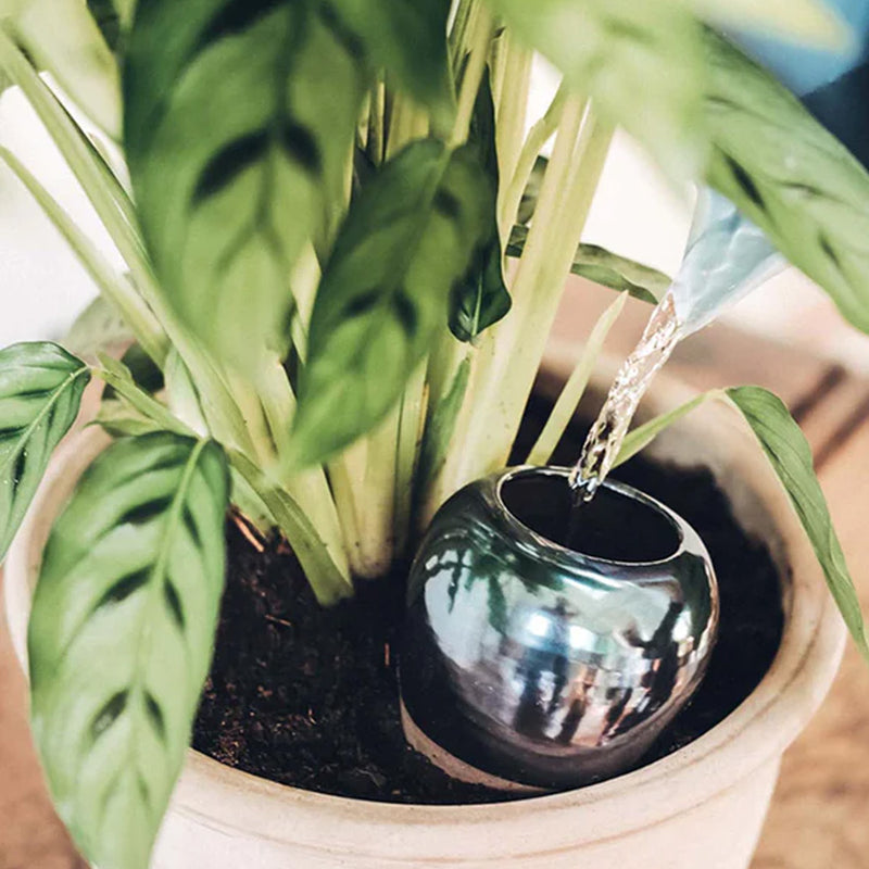 Olla natural water diffuser