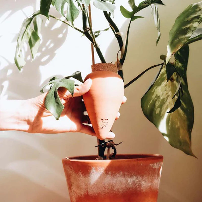 Olla natural water diffuser