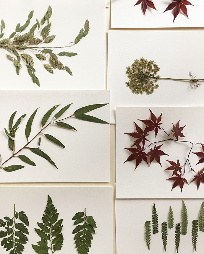 Image Slider | Fleux