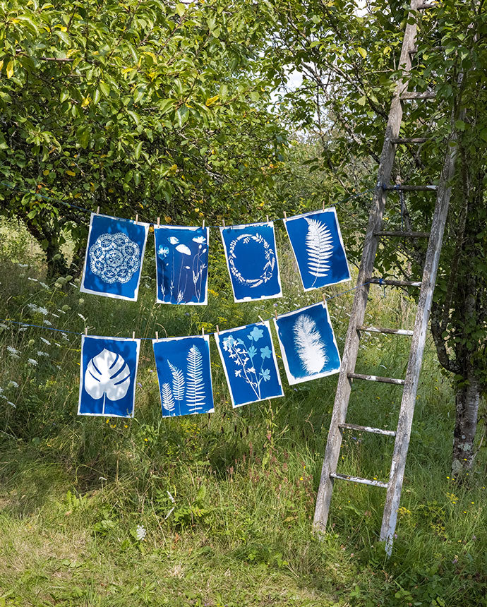 Image Slider | Fleux