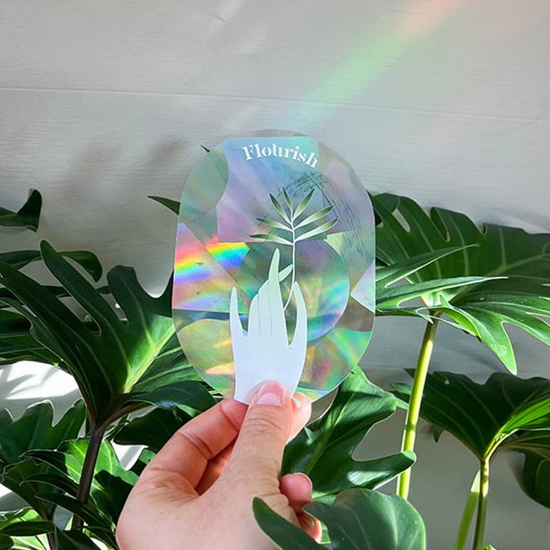 Sticker Arc-En-Ciel Flourish
