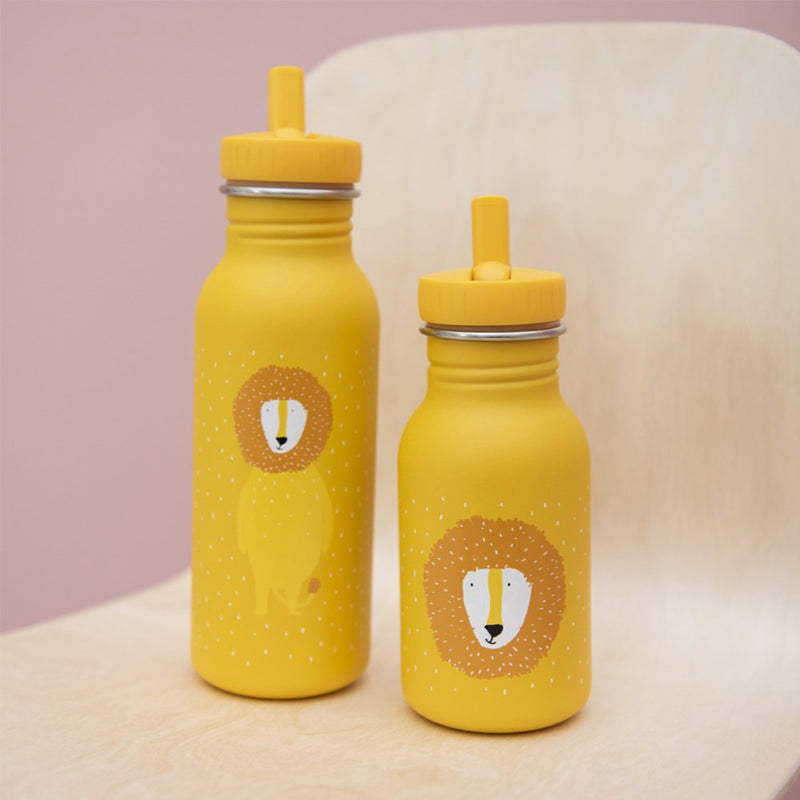 Mr Lion Bottle - 500 ml 