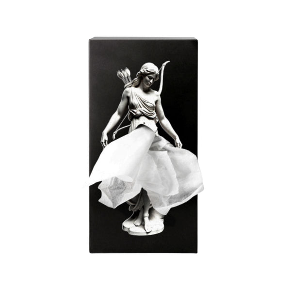 Boîte à mouchoirs - Mythology Artemis