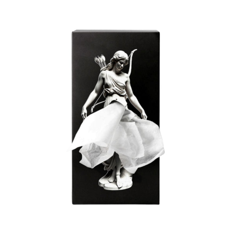 Boîte à mouchoirs - Mythology Artemis