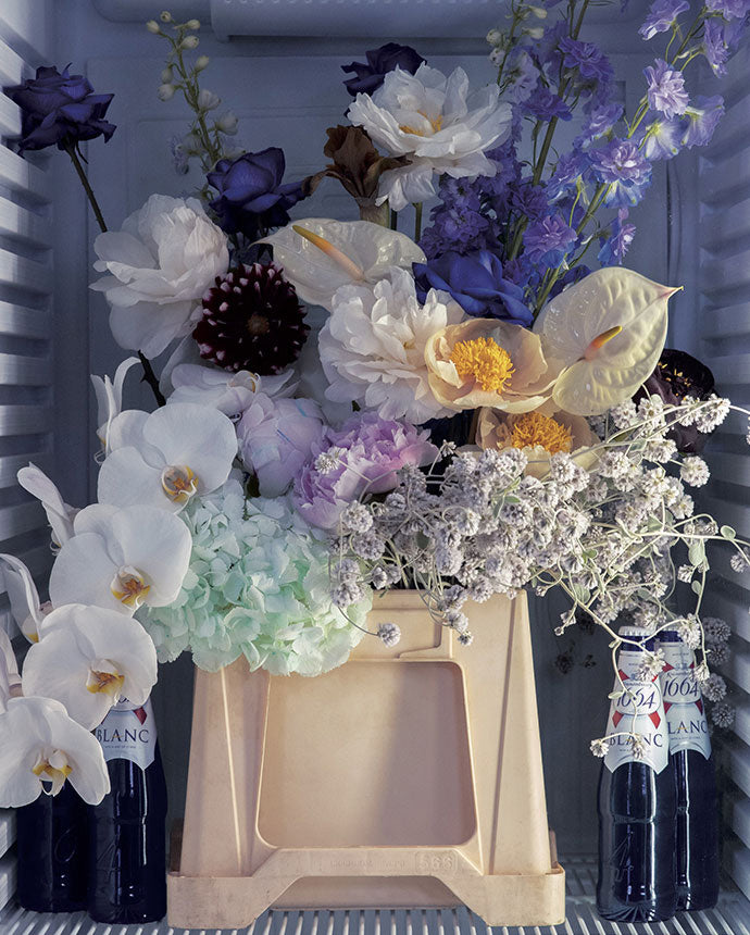 Image Slider | Fleux