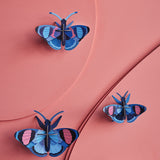 Décoration murale Peacock Butterflies - Lot de 3 | Fleux | 5