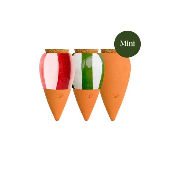 Trio Mini Diffuseur d'eau naturel Mini Ollas - Les rayés