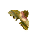 Pince à cheveux Châtaignier | Fleux | 5