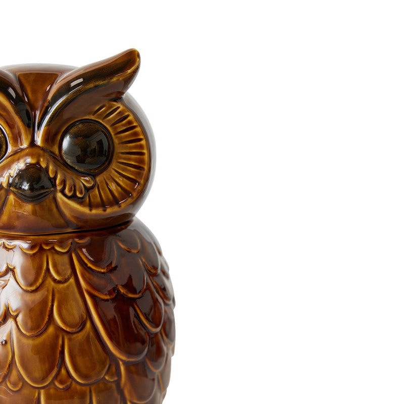 Roasted Ceramic Owl Pot - 16.5 x 16.2 x 8.5 cm 
