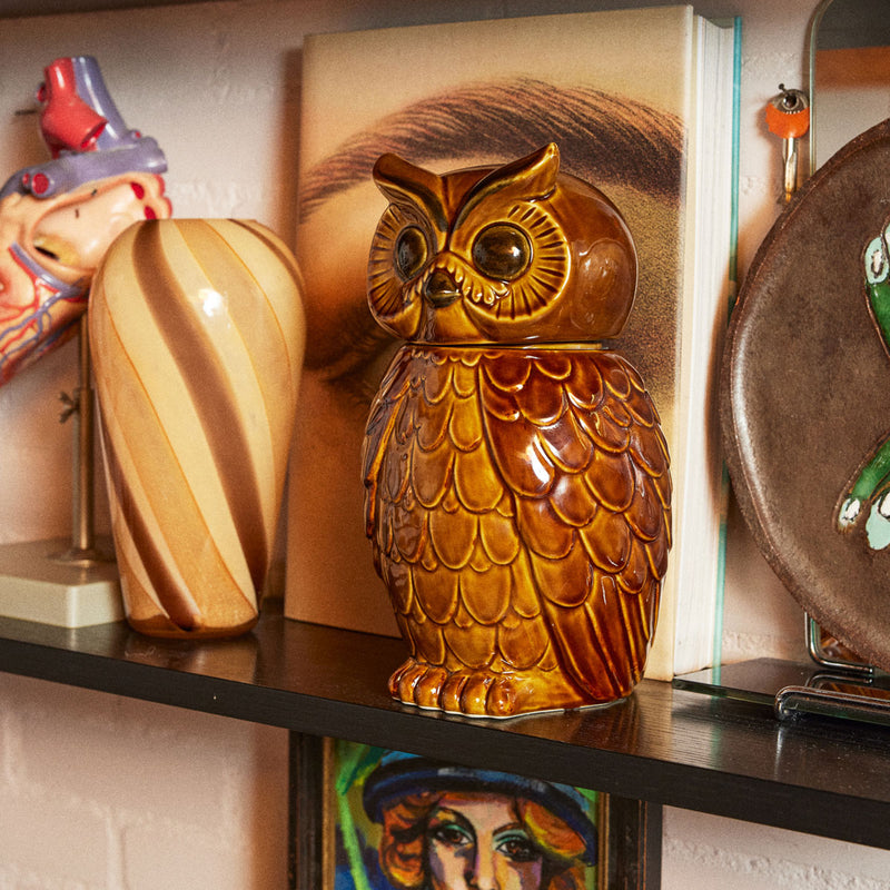 Roasted Ceramic Owl Pot - 16.5 x 16.2 x 8.5 cm 