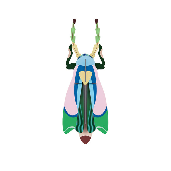 Sakura Beetle Wall Decor