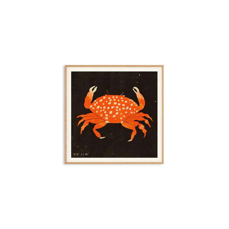 Affiche Spotted Crab - 50 x 50 cm