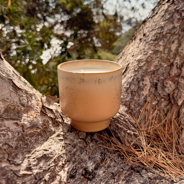 70s Vancouver Scented Candle - 10.5 cm