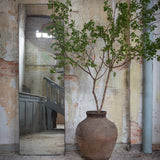 Miroir rectangulaire vieilli - h 244 x 71 cm | Fleux | 5