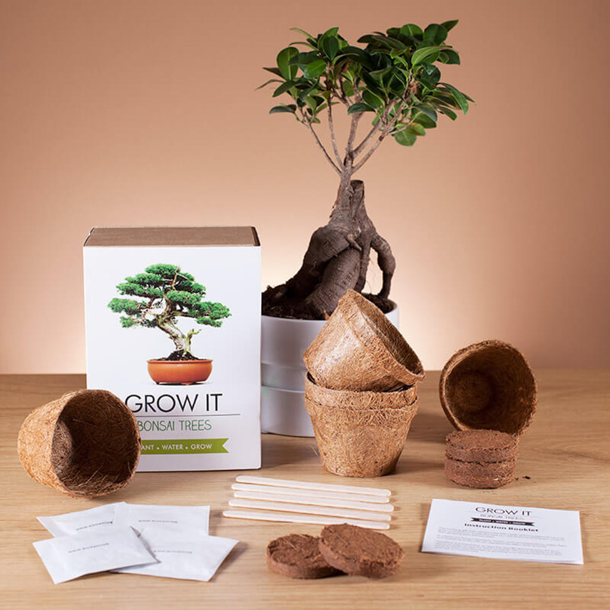 Grow It Bonsai Kit – Fleux