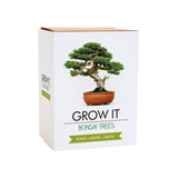 Grow It Bonsai Kit | Fleux | 4