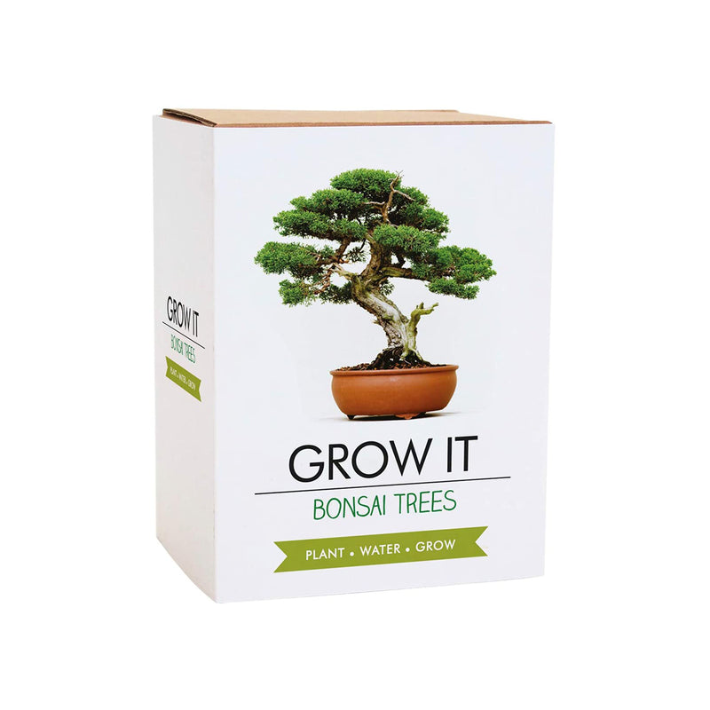 Kit Grow It Bonsai