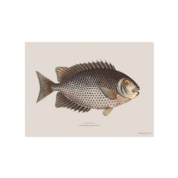 Set de table Rectangle Poisson Chirala - 33 x 45 cm