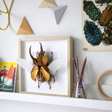 Golden Atlas Beetle Origami Trophy | Fleux | 3