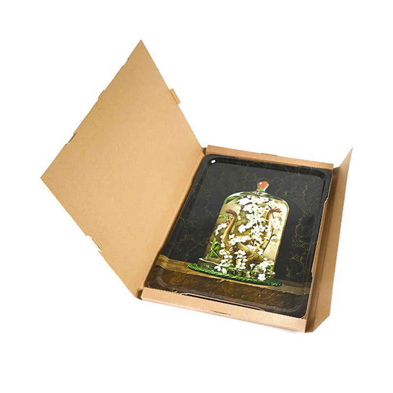 Plateau rectangle Dinocloche en bouleau - 61 x 46 cm